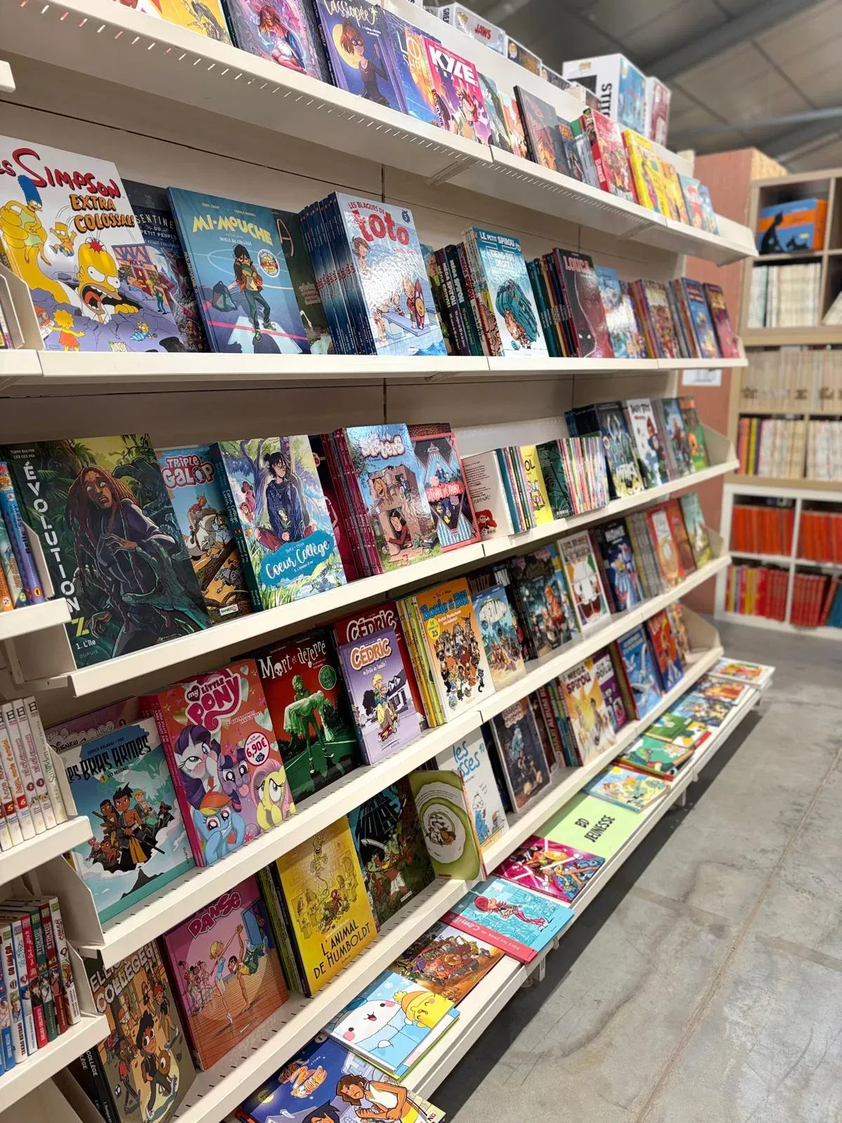 Etalages de bandes dessinées (BD) du magasin Livr'ensemble à Hennuyère