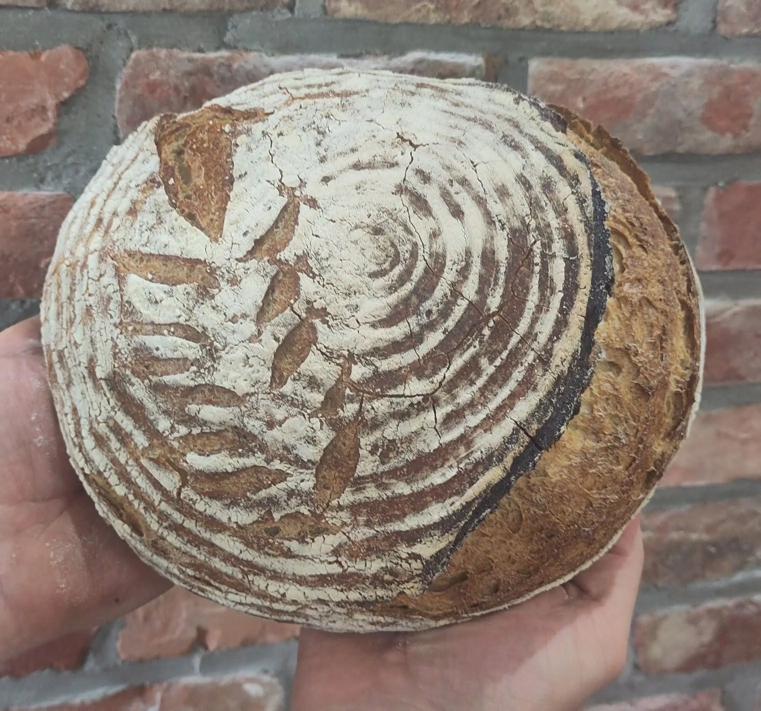Photo d'un pain au levain de la boulangerie paysanne Fleure bon le pain à Hennuyères